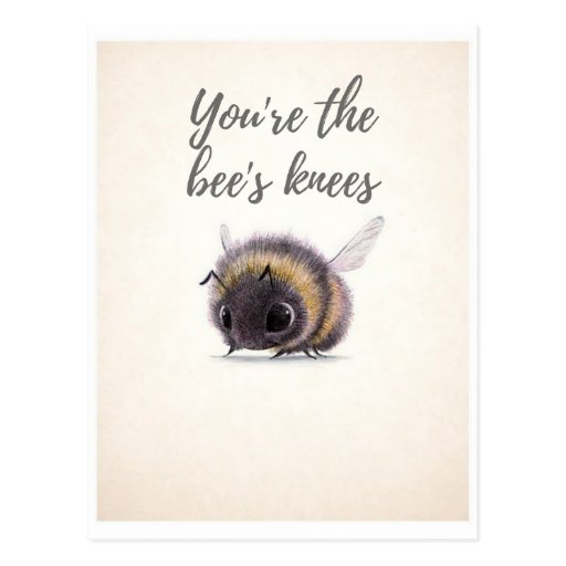 You're the Bee's Knees Postcard | Zazzle