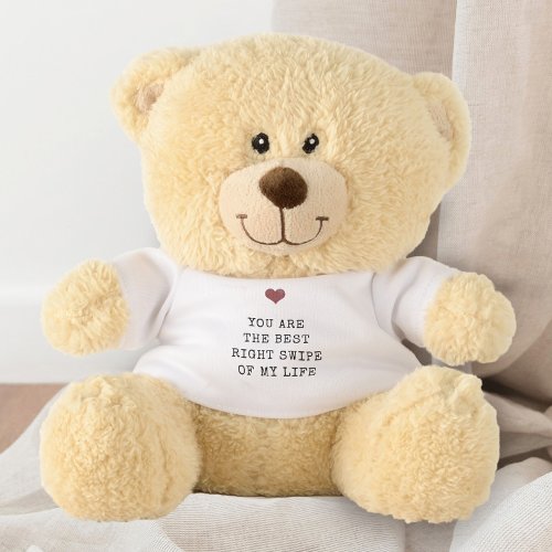 Youre the best right swipe of my life Valentine Teddy Bear