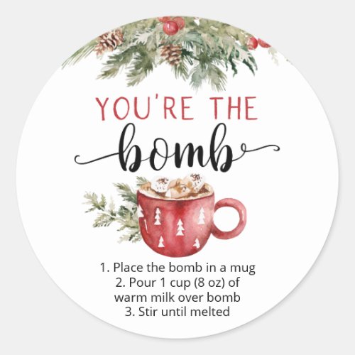 Youre the bomb hot chocolate cocoa classic round sticker