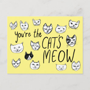 YOU'RE THE CAT'S MEOW Cute Kittens  Postcard