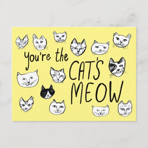 YOURE THE CATS MEOW Cute Kittens  Postcard