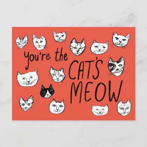 YOURE THE CATS MEOW Cute Kittens  Postcard
