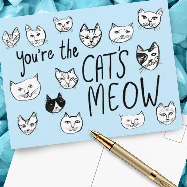 YOU'RE THE CAT'S MEOW Cute Kittens  Postcard (Cute cats postcard "you're the cat's meow" friendship, love, birthday, valentine.)