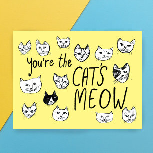 YOU'RE THE CAT'S MEOW Cute Kittens Postcard