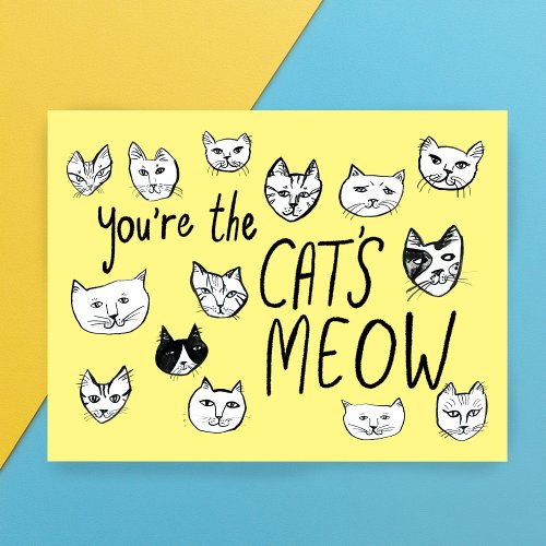 YOURE THE CATS MEOW Cute Kittens  Postcard