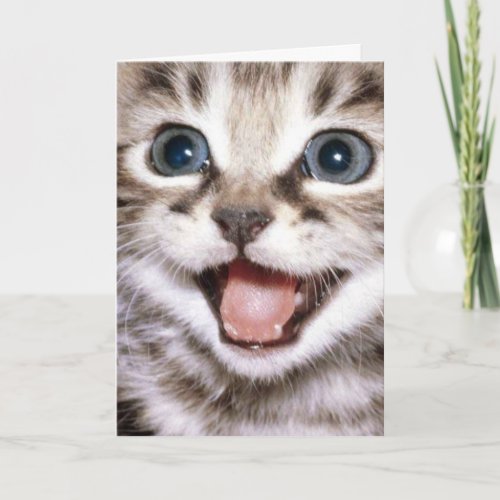 Youre The Cats Meow Funny Cat Card
