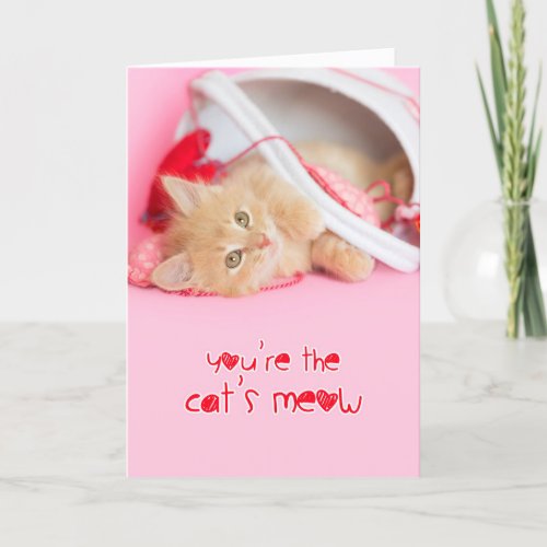 Youre the cats meow kitten valentine holiday card