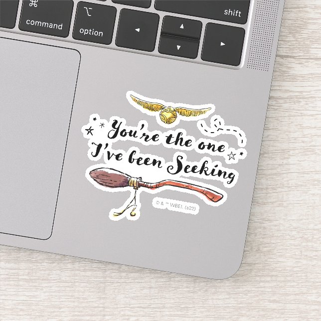 You're The One I've Been Seeking Sticker (Detail)