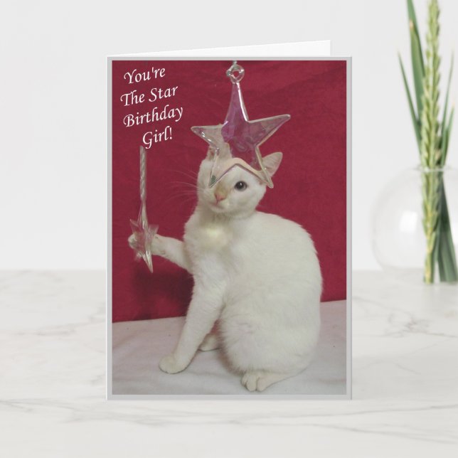 You're The Star, Birthday Girl! Cat Birthday Card (Front)