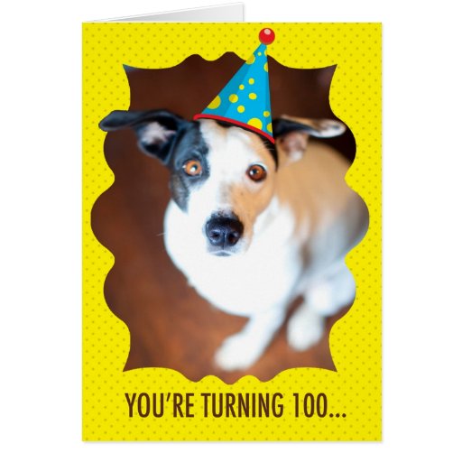 Hilarious Birthday Cards, Hilarious Birthday Card Templates, Postage ...