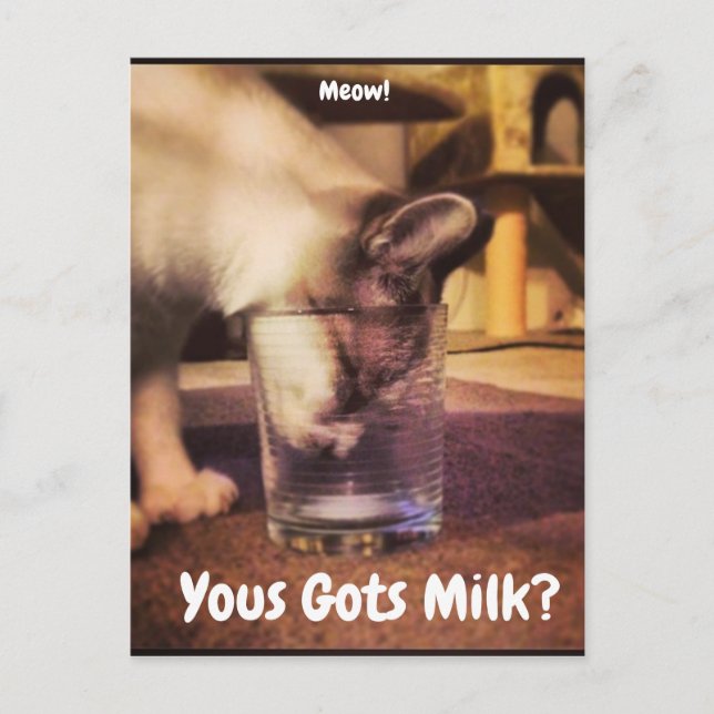 Yous Gots Milk? Postcard (Front)