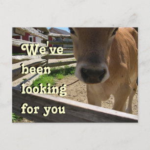 Youth Group Invitation