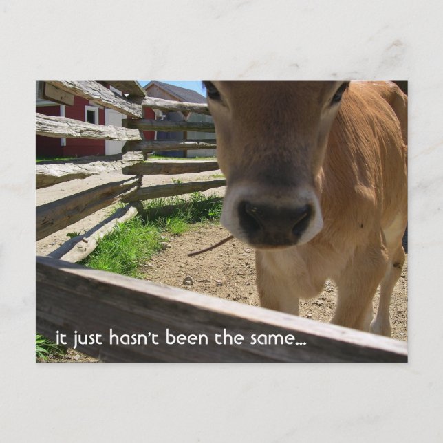 Youth Group Invitation Postcard (Front)