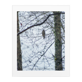 Youth on the Edge Acrylic Print