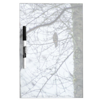 Youth on the Edge Dry Erase Board