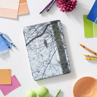 Youth on the Edge iPad Pro Cover