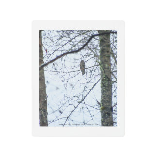 Youth on the Edge Metal Print