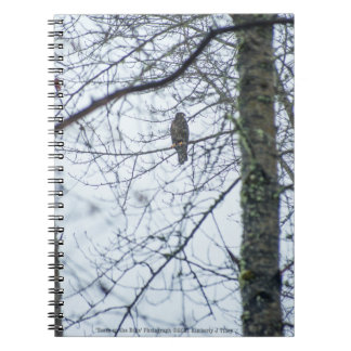 Youth on the Edge Notebook