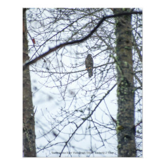 Youth on the Edge Photo Print