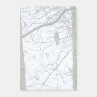 Youth on the Edge Post-it Notes