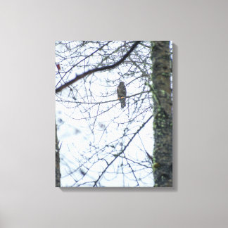 Youth on the Edge Stretched Canvas Print