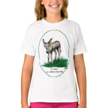 Youth tshirt with Baby Donkey, St.John,USVI
