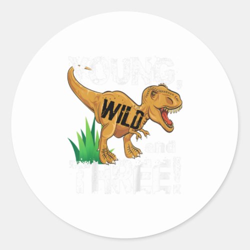 Youth Young Wild and Three 3 Dinosaur T Classic Round Sticker