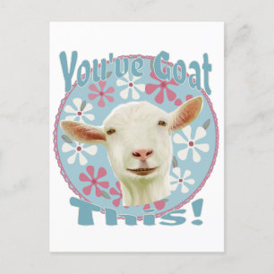 You've Goat This! Encouraging Goat Pink and Blue Postcard