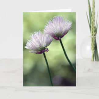 You've got a friend in me... card