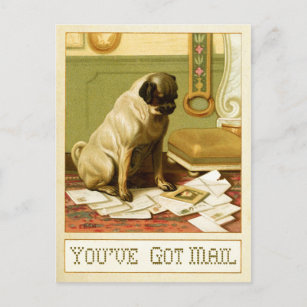 You've Got Mail Postcard