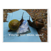 You've got snail mail (Front Horizontal)