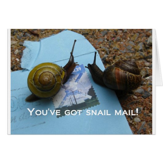 You've got snail mail cards (Front Horizontal)