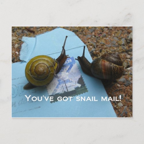 Youve got snail mail postcard