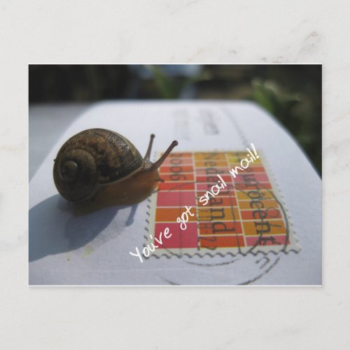 youve got snail mail postcard