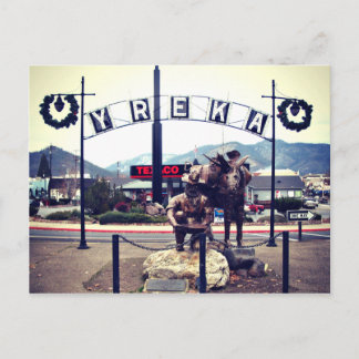 Yreka Miner Statue Postcard