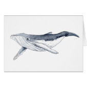 Yubarta drinks whale (Front Horizontal)