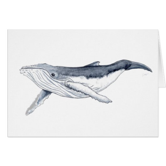 Yubarta drinks whale cards (Front Horizontal)