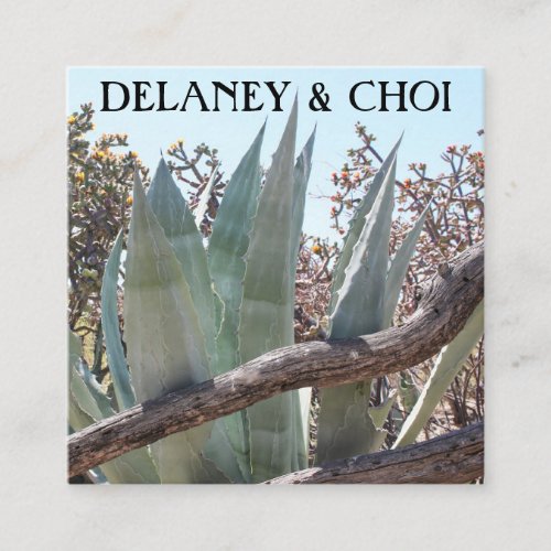 Yucca Aloe Desert Photo Landscaper Garden Cactus Square Business Card