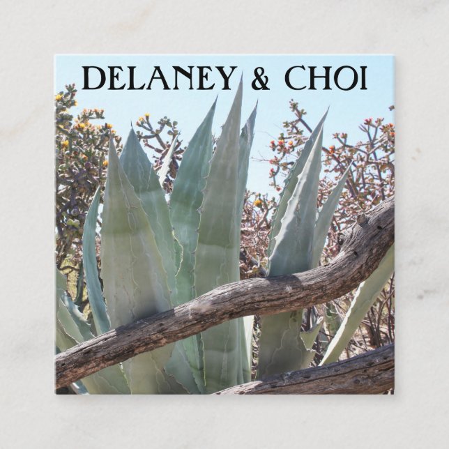 Yucca Aloe Desert Photo Landscaper Garden Cactus Square Business Card (Front)
