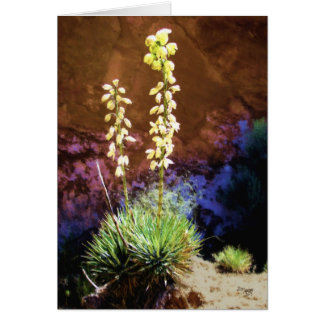 Yucca Flowers in Capitol Reef Cards