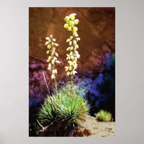 Yucca Flowers in Capitol Reef Poster