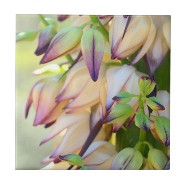 yucca flowers tile (Front)