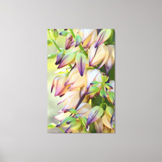 yucca flowers wrapped canvas print (Front)