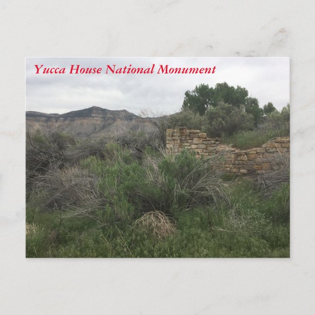 Yucca House National Monument Postcard (Front)