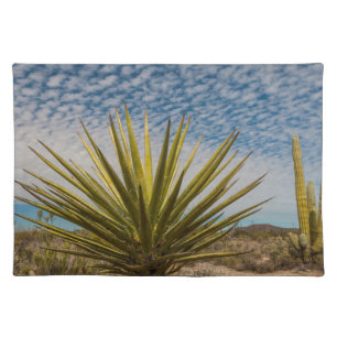 Yucca In The Desert, Mexico Cloth Placemat
