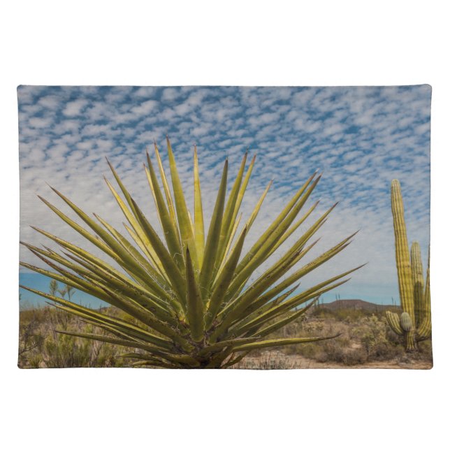 Yucca In The Desert, Mexico Cloth Placemat (Front)