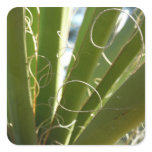 Yucca Leaves Green Abstract Nature Photography Square Sticker