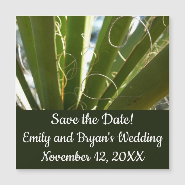 Yucca Leaves Green Nature Photography (Front)