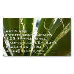 Yucca Leaves Green Nature Photography Business Card Magnet
