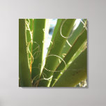 Yucca Leaves Green Nature Photography Canvas Print